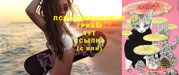 марки nbome Богородицк