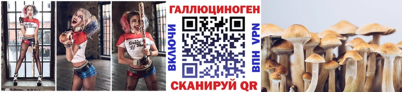 Галлюциногенные грибы GOLDEN TEACHER  где можно купить   omg сайт  Мончегорск 